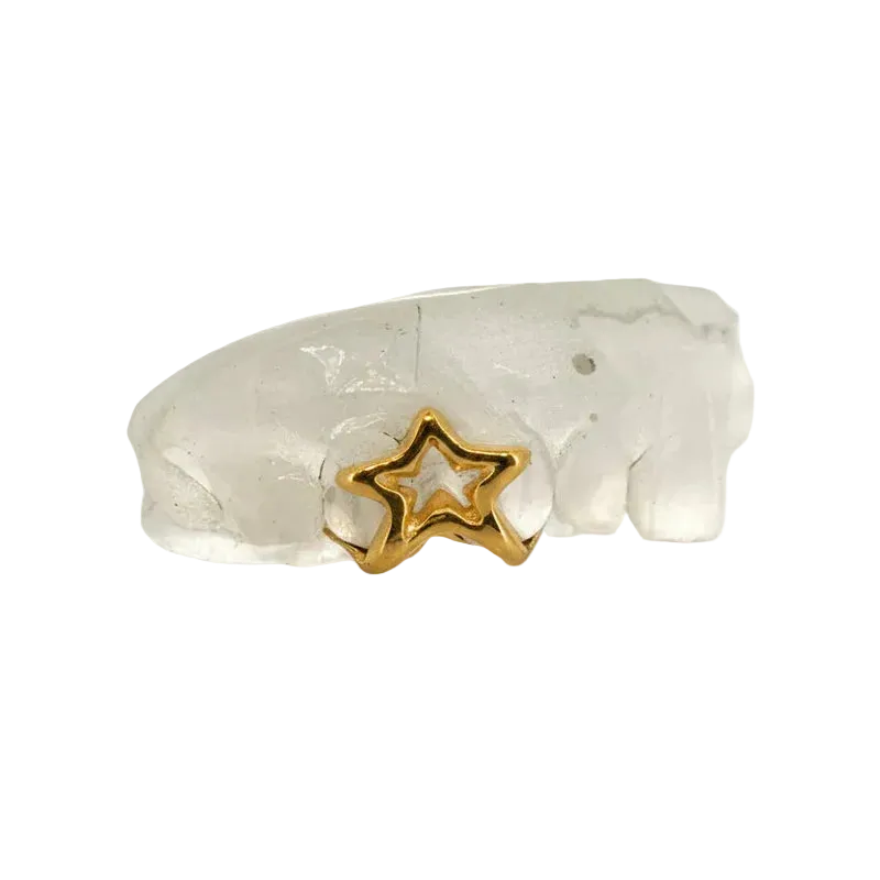 Star Grillz
