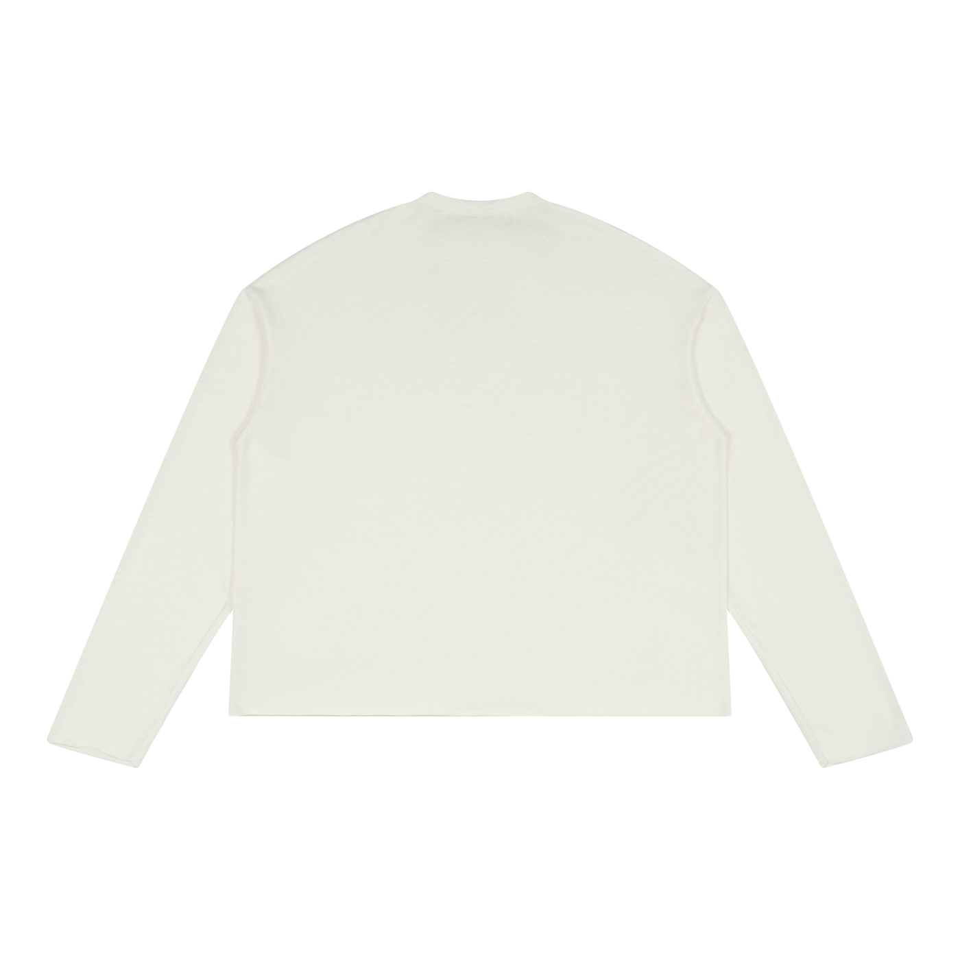 Sheer Raw Edge Long Sleeve T-Shirt