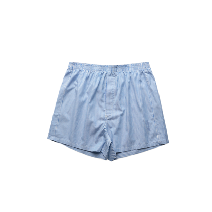 Pinstripe Briefs