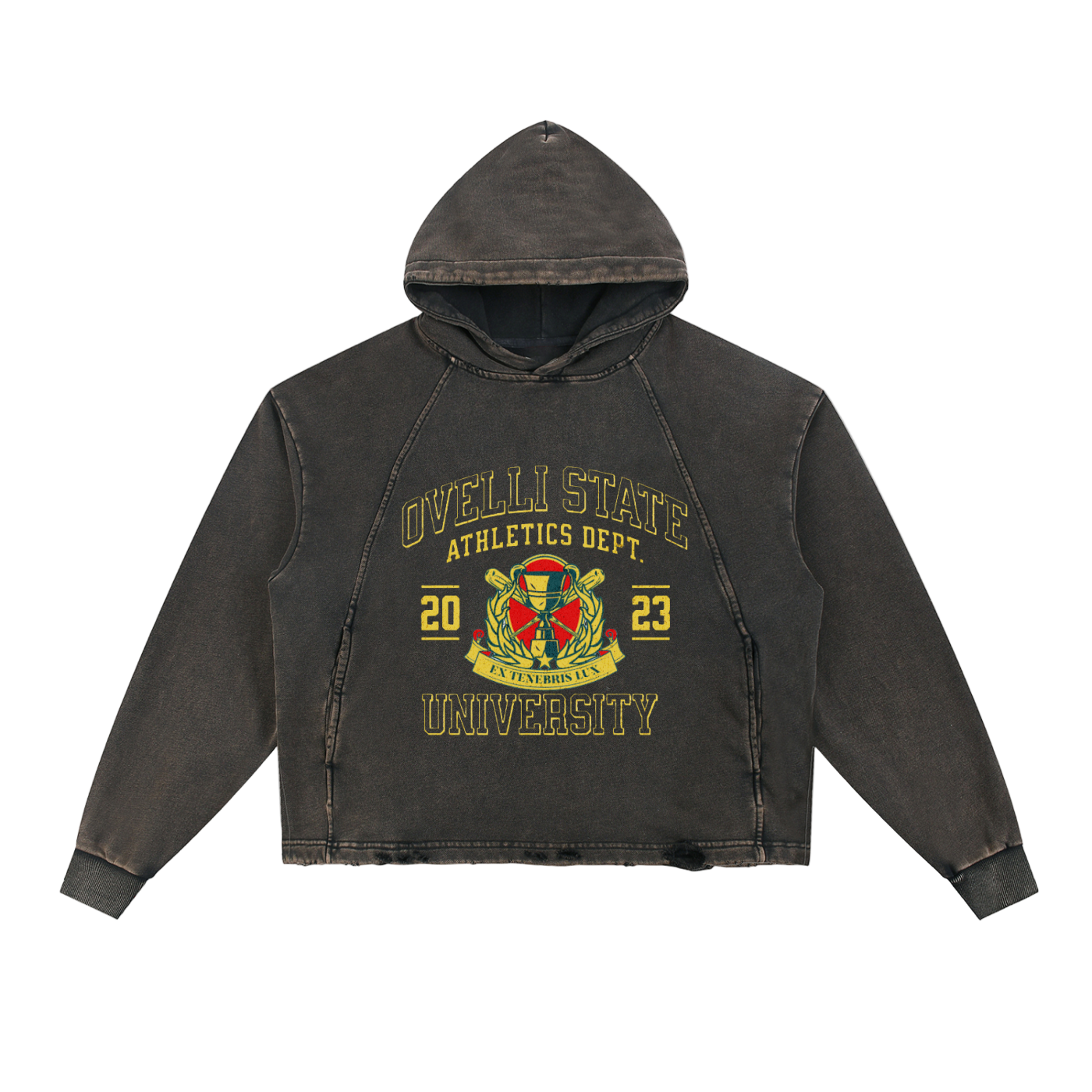 Vintage Washed Frayed-Hem Hoodie