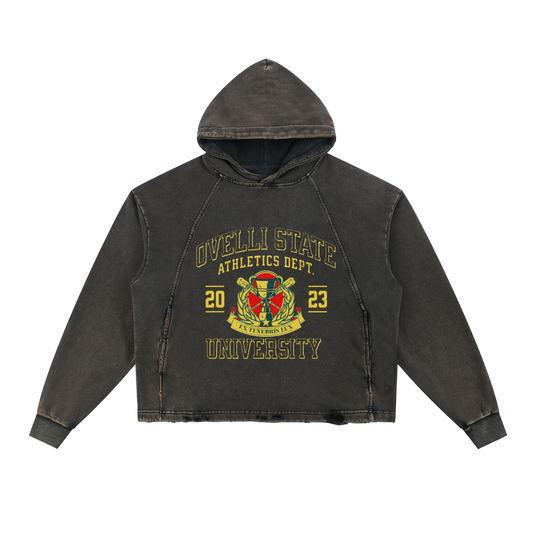 Vintage Washed Frayed-Hem Hoodie