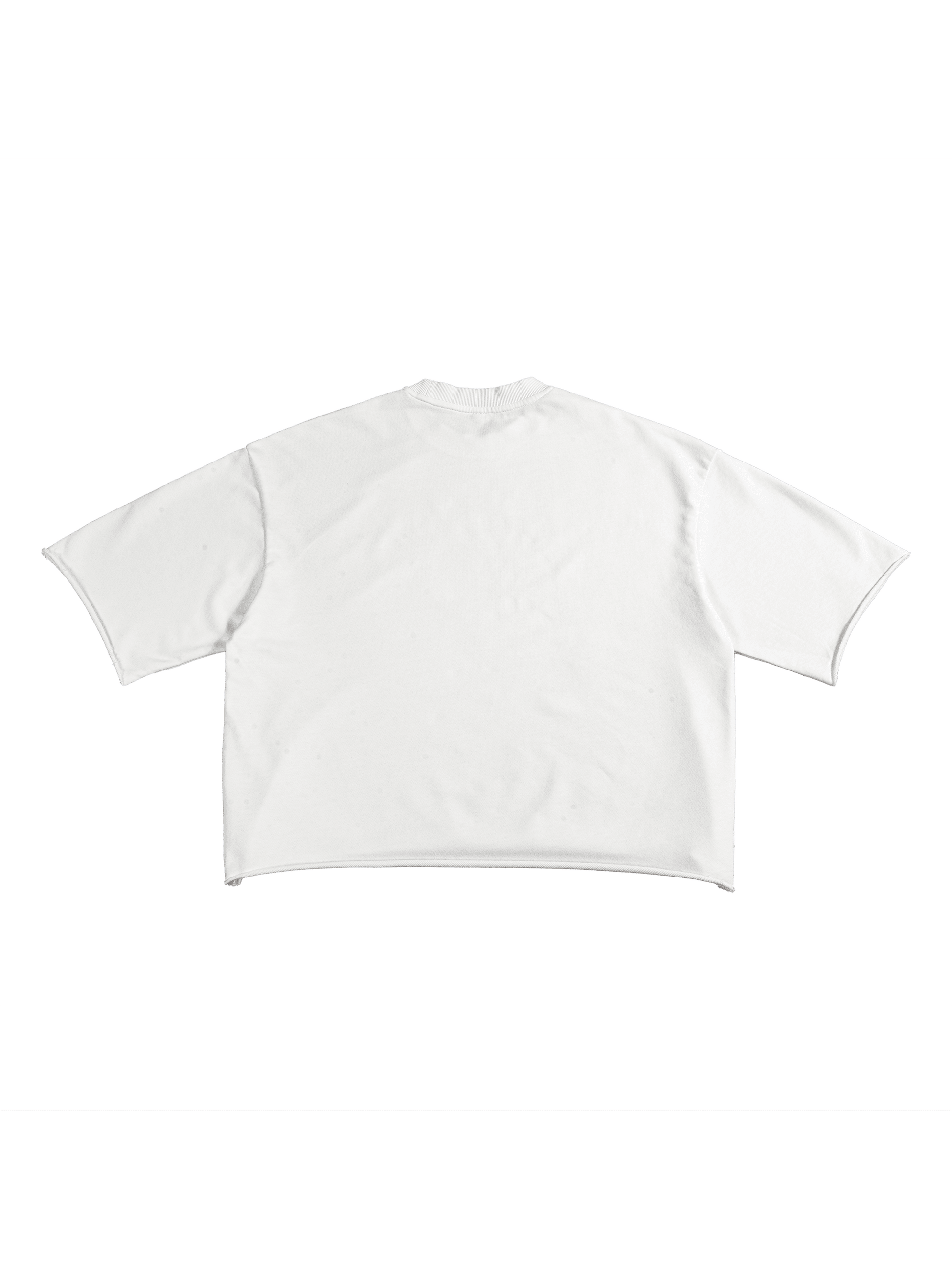 Cropped,Boxy,Graphic Tee